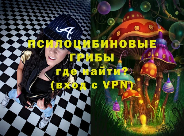 2c-b Зеленодольск