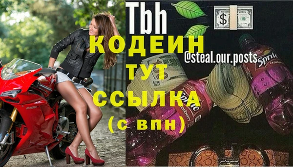 молекула духа Зеленокумск