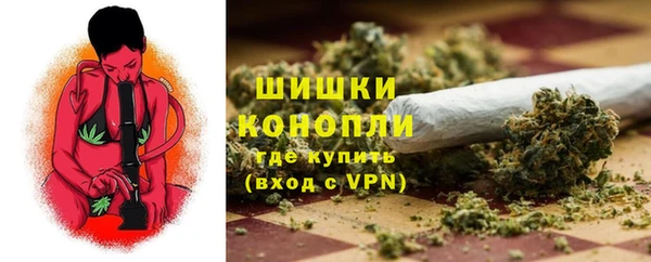 молекула духа Зеленокумск