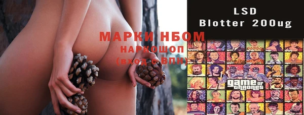 молекула духа Зеленокумск
